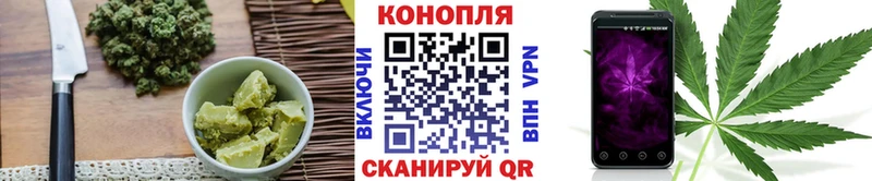 kraken tor  Рыльск  Cannafood конопля 