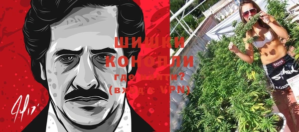 спиды Новозыбков