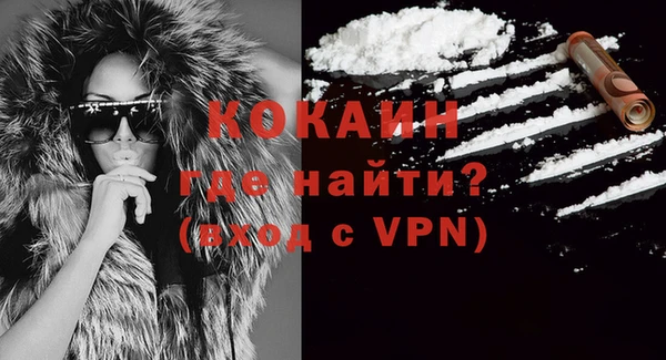 спиды Новозыбков