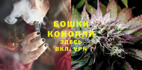 спиды Новозыбков