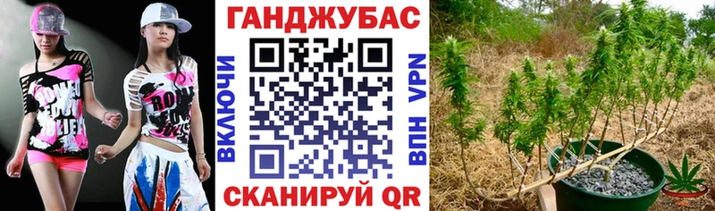 omg ССЫЛКА  наркота  Рыльск  Бошки Шишки THC 21% 